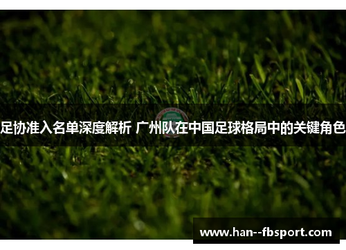 足协准入名单深度解析 广州队在中国足球格局中的关键角色