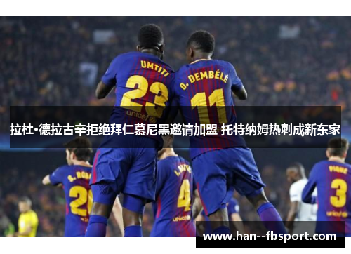 拉杜·德拉古辛拒绝拜仁慕尼黑邀请加盟 托特纳姆热刺成新东家 拉杜·德拉古辛拒绝拜仁慕尼黑邀请加盟 托特纳姆热刺成新东家