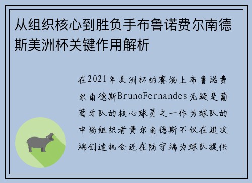 从组织核心到胜负手布鲁诺费尔南德斯美洲杯关键作用解析